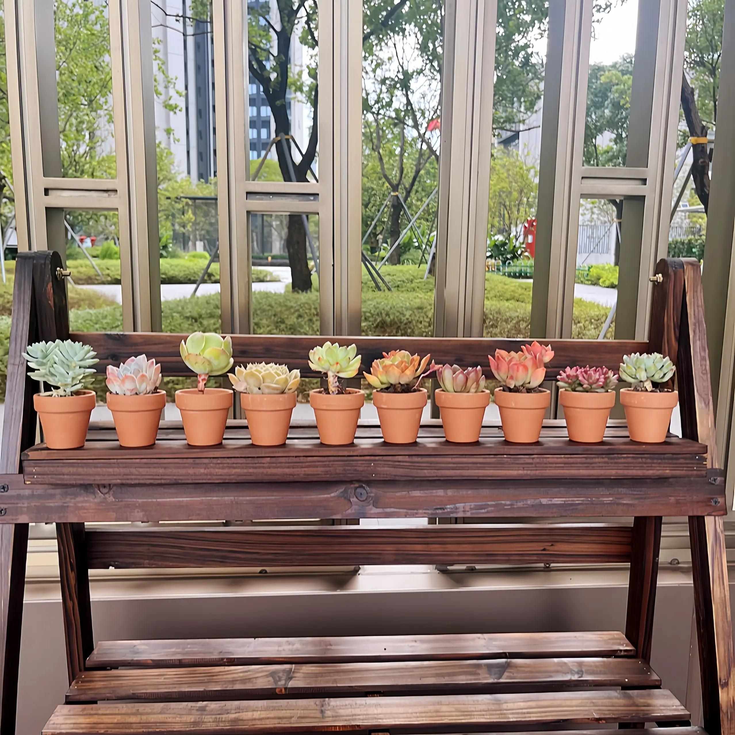 Terracotta Serenity Succulent Pots 4