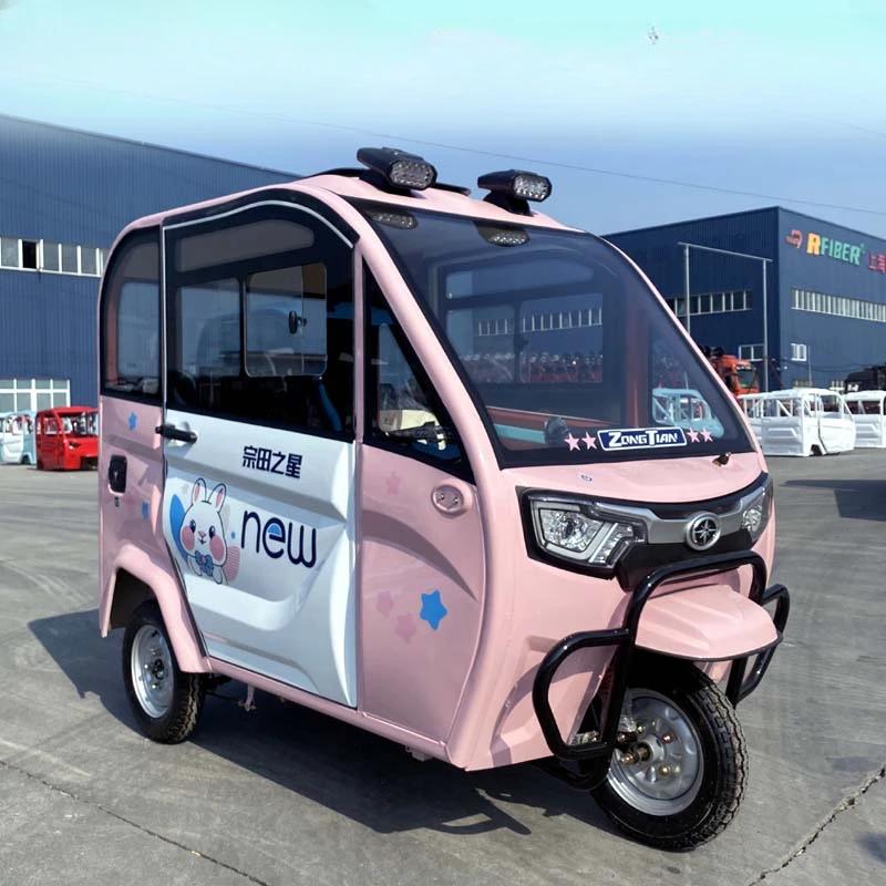 Electric Car Covered Tricycle New Fully Enclosed Electric Tricycle
