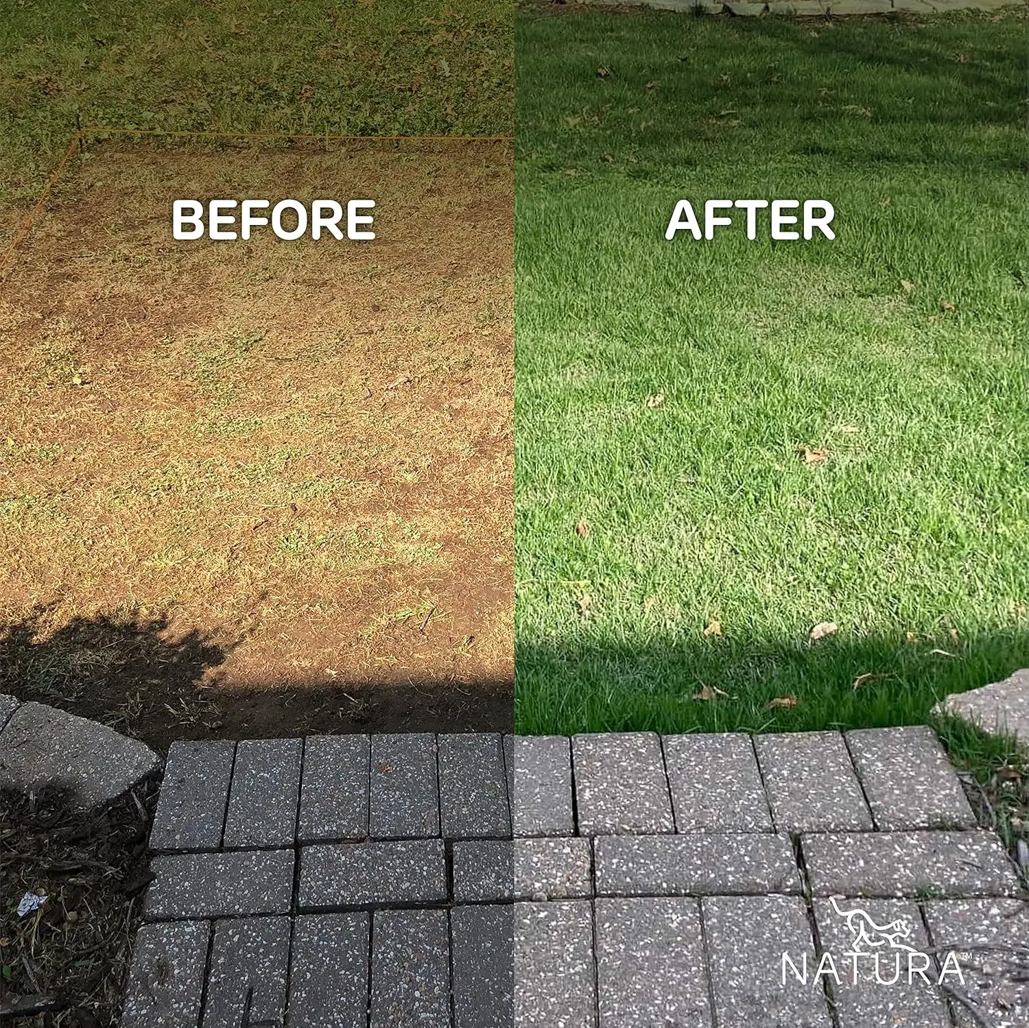 PowerRun 10376807 Outdoor Artificial Grass for Dogs, Turf Grass Patch Blends in with  Grass, Keeps Paws and Homes