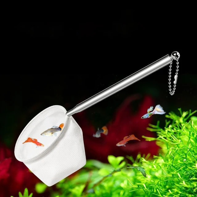 Aquarium Fish   Stainless Steel Retractable Small Shrimp Fishing Nets Fish Accessories For Fish Tank Cleaner Tool 6