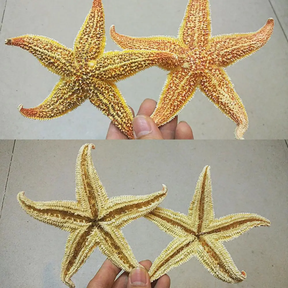 Resin Starfish Ornaments 10-16cm 2Pcs Flat Dried Starfish DIY Crafts Mini Sea Shells Ornaments Beach Craft For Wedding Party Home Photo Props Decoration