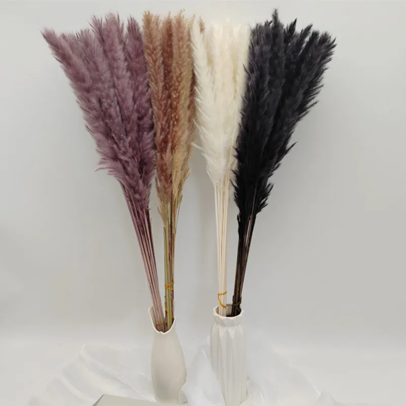 

Really Flower Bouquet Small Pampas Grass Pink, Black,Primary Color Reed Flores For DIY Home Wedding Floral Arrangements 15pcs/Se