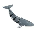 Grey Whale