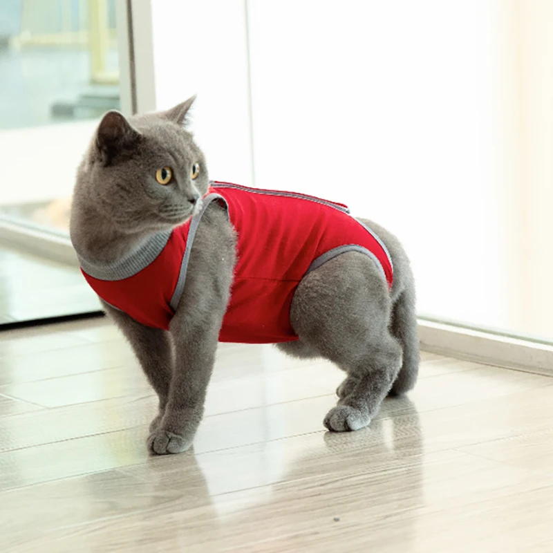 Surgery Recovery Clothes Cat Surgery Recovery Clothing Wound