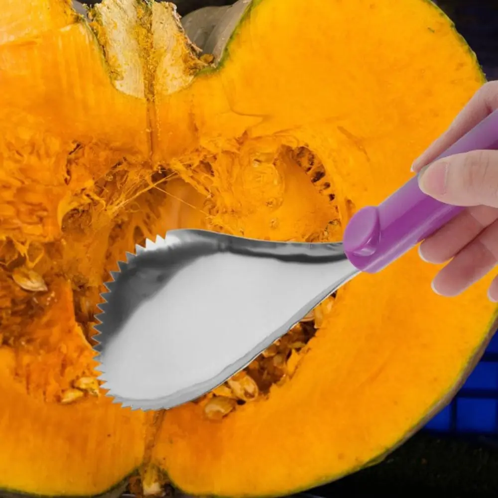 2 Pcs Smoothie Scoop Pumpkin Corer Tool Stainless Steel Remover Removers Kitchen Commercial