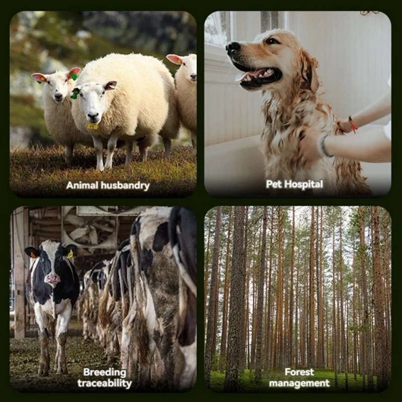 ABYN-Animal RFID Reader 134.2Khz/125Khz USB Pet ID Scanner Animal Tag Reader Handheld Mini Scanner For Dog Cat Horse