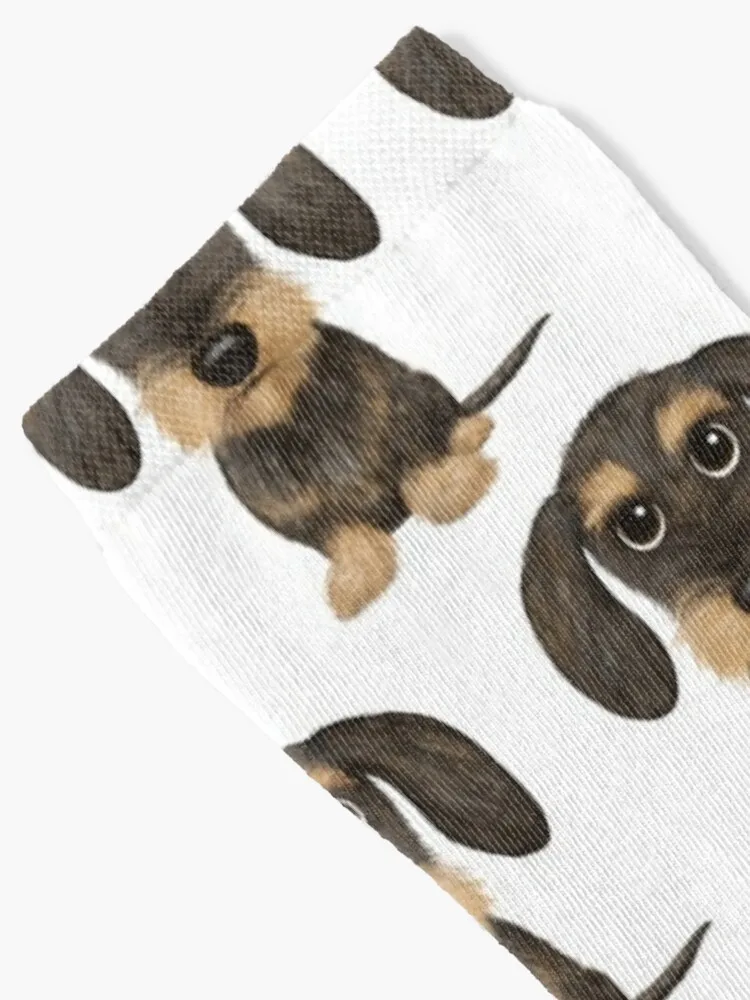 Wirehaired Dachshund | Cute Wire Haired Wiener Dog | Wild Boar and Tan Teckel Socks Female Cycling Socks Sports Socks Woman
