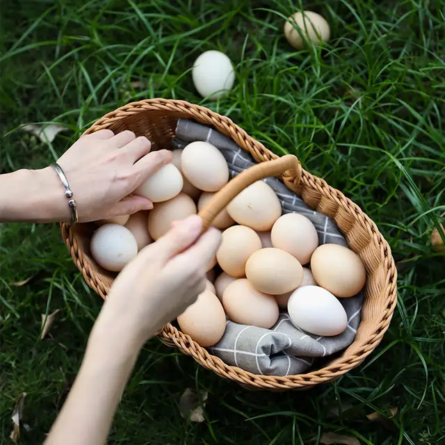 다용도 짠 보관 바구니