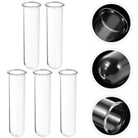 5 Pcs Glass Tubes Test Tube Vase Plant Propagation Tubes Hydroponic Vases Desktop Flower Containers Home Decor Vases 1
