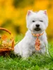 50/100PCS Small Dog Neckties For Dogs Fall Style Pet Dog Bowties Ties Dogs Pets Grooming Autumn Pet Supplies For Small Dogs 6