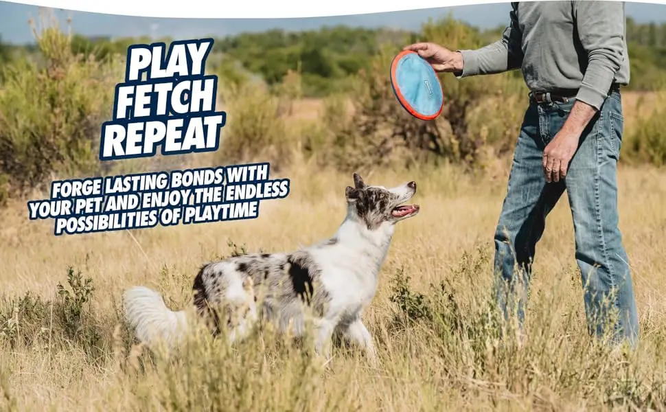 mage of man and dog playing fetch with flying disc with text reading play fetch repeat.