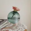 Nordic Spherical Living Room Flower Pot Hydroponic Plant Flower Decoration Home Decoration Glass Vase Flower Vase Table Decor 1