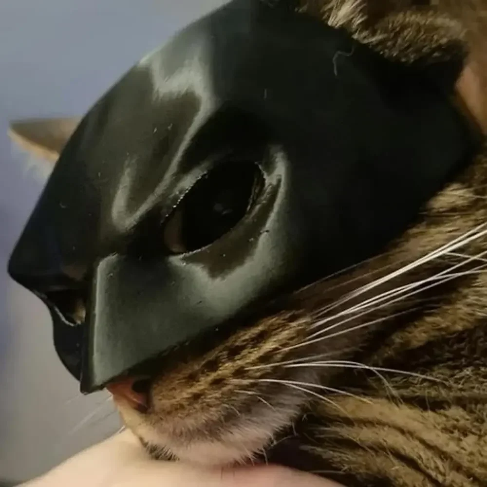 Pet Toys Cat Bat Mask