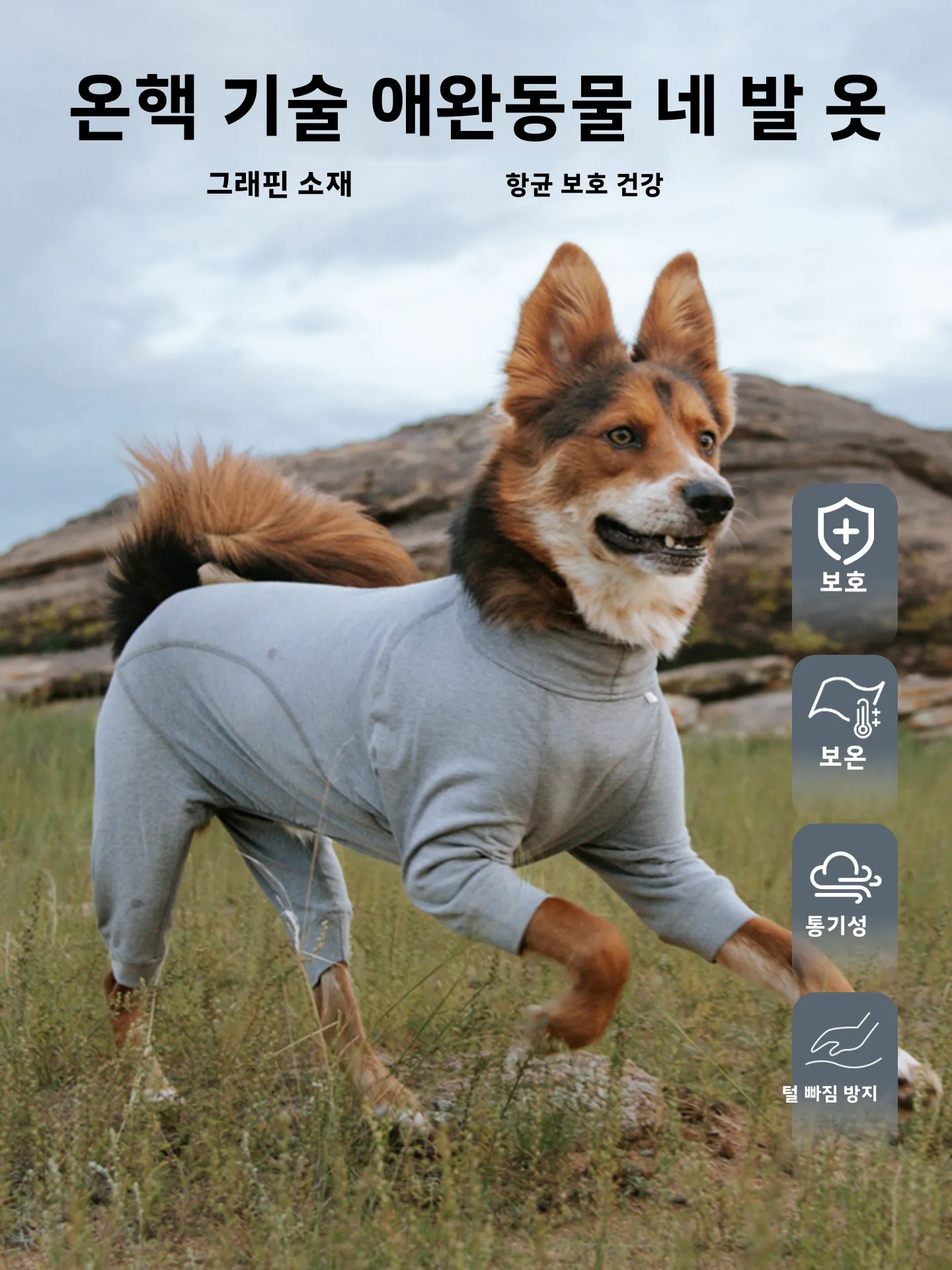 블랙도기 그래핀 웜코어 4족견 의류 애완동물 수면복 발열 온도조절 애완용품 강아지 옷