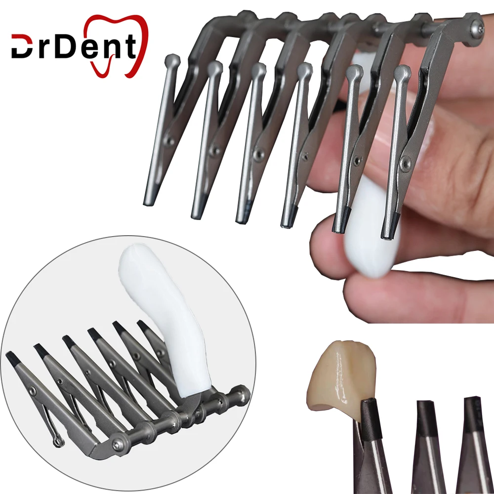 

6Pcs-Clamp Dental Enamel Clip Lab Denture Holder Brush Enameled Six Tooth Soft Head for Temporary Crown Veneer Dentistry Tools