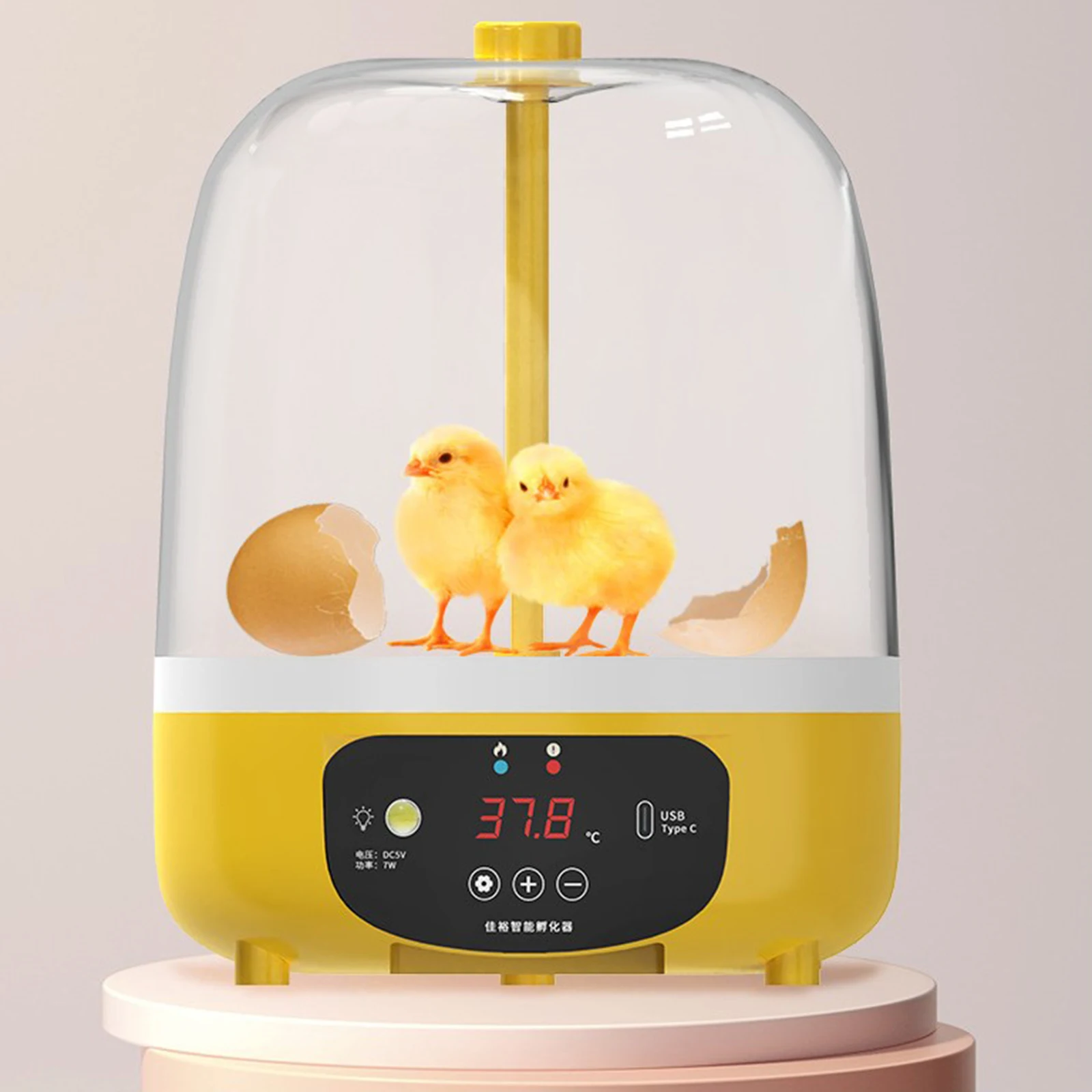 ̴  ȭ, ȸ ȭ, , ߶, , ݷ, ڵ  ȭ 