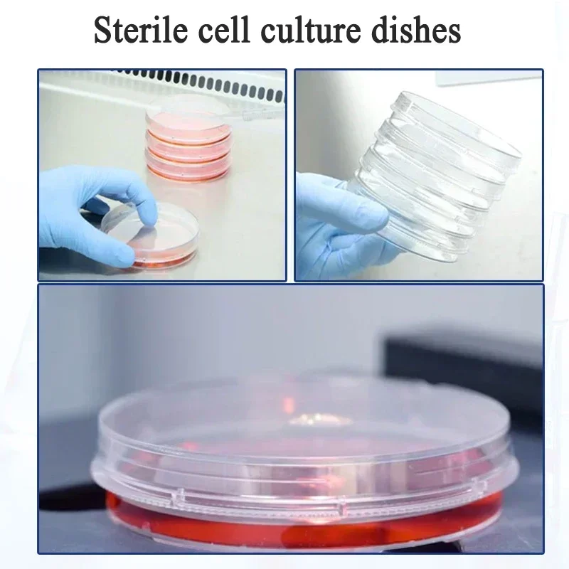10pcs Thermo Scientific Nunc Cell Cultures Dish 35/60/100mm Sterile Plastic Disposable Petri Dishes