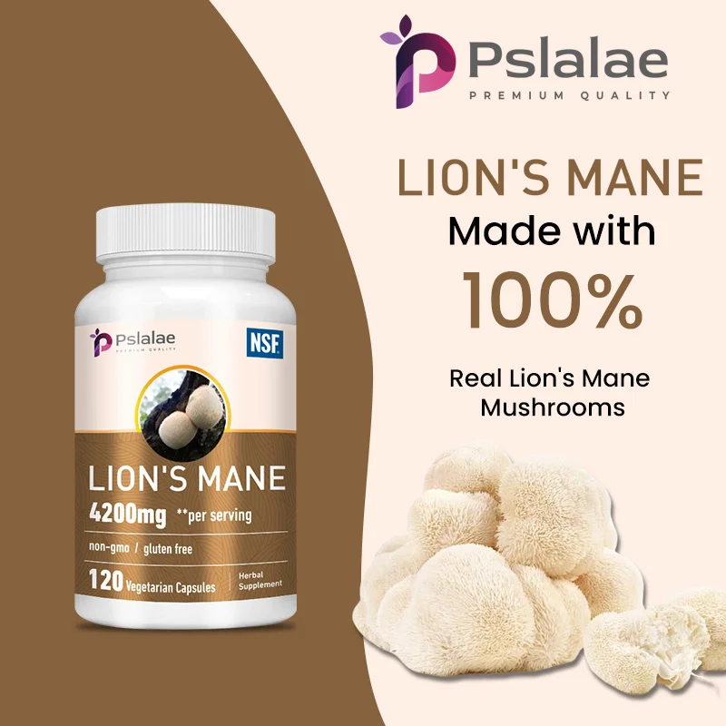 Lions Mane Relieve Stress Immune System Health Improve Memory Protect Brain Nerves