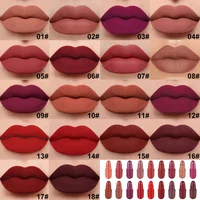18Pcs/Set Matte Capsule Lipstick Set Color Fixing Lasting Waterproof Non-Stick Cup Mouth Nude Makeup Sexy Lips Solid Lip Gloss 1