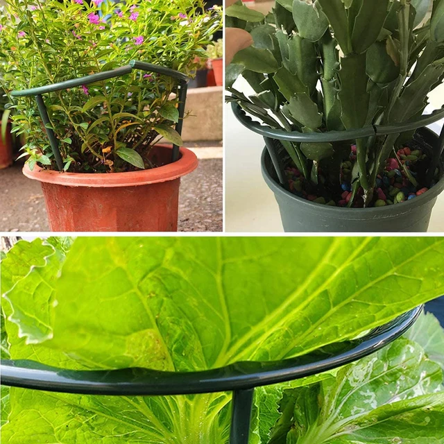 6/8/12 db Növényi Tartó Növény Tét Fél Kerek Gyűrű Műanyag Ketrec Virág Edény Mászó Rácsos - Image 4