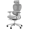 Ergonomic Mesh Office Chair with 3D Adjustable Armrest,High Back Desk Computer Chair Ergo3d Ergonomic Chairs with Wheels for Hom 1