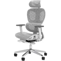 Ergonomic Mesh Office Chair with 3D Adjustable Armrest,High Back Desk Computer Chair Ergo3d Ergonomic Chairs with Wheels for Hom 1
