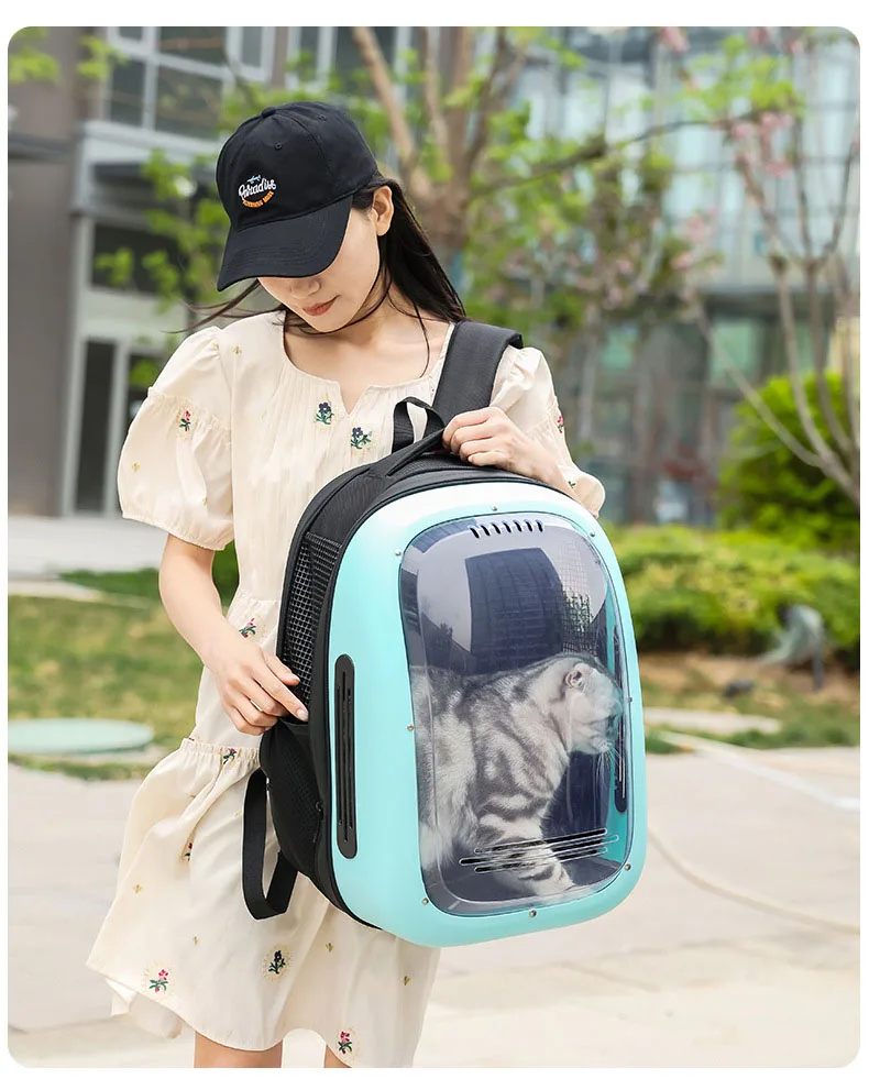 Transparent Transport Carrying Dog Cat Travel Bag