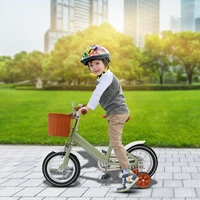 Vélo pour enfants de 12 pouces avec roues d'entraînement + panier, vélo pour enfants à deux freins, charge 40 kg pour les âges de 2 à 4 ans (vert/jaune/rose) 3