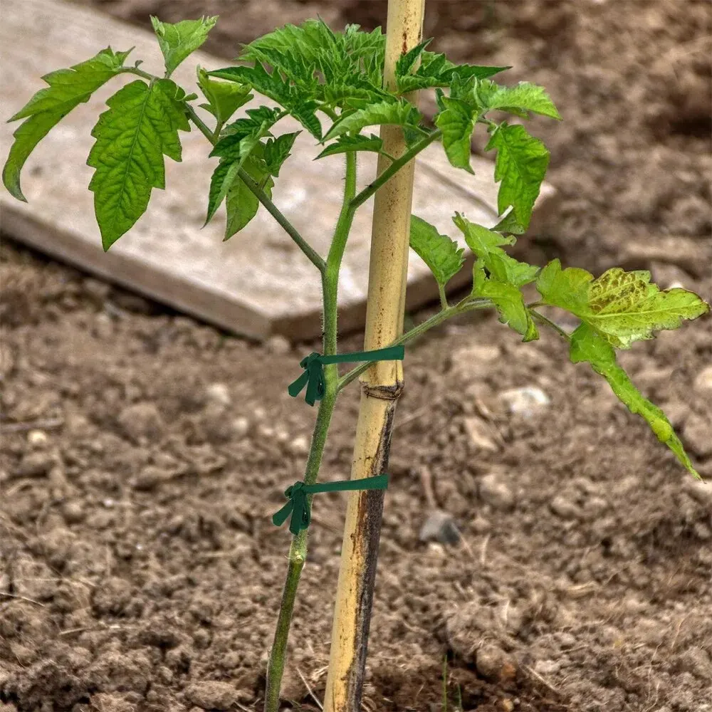 Green Garden Rope Plant Support
