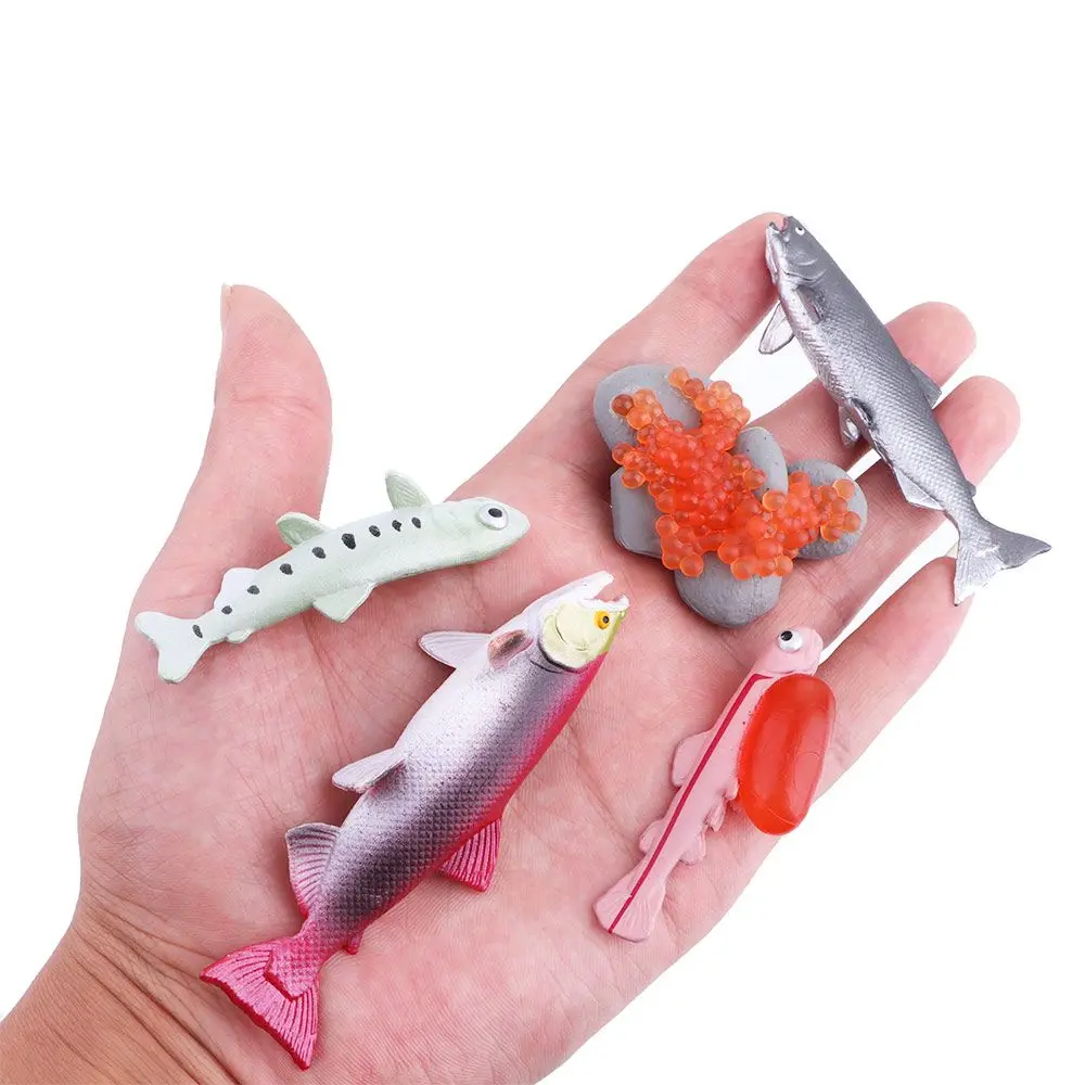 Science Sea Life Simulation Insect Earthworm Children Animals Figurines Salmon Realistic Life Cycle Growth Cycle Model Octopus 4