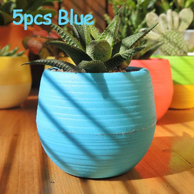 5pcs blue