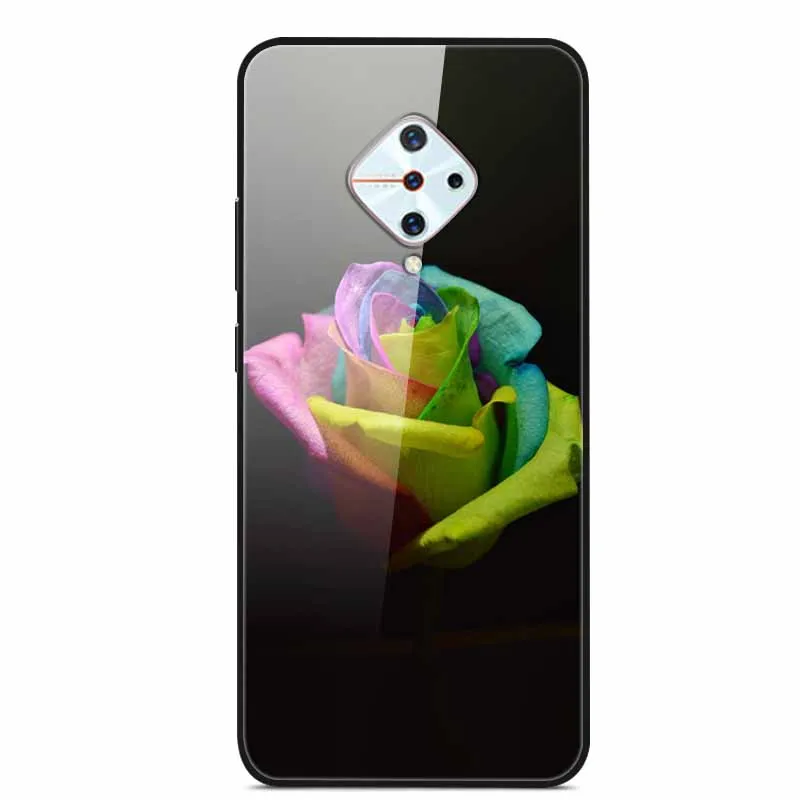Premium Tempered Glass Back Case with Soft Bumper
