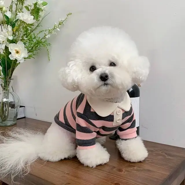 Dog Clothes Schnauzer Teddy York Shire Polo Shirt Summer Dress Striped Pet T-Shirt Dog Costume Soft Pullover Suit for Dog Puppy 6