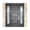 metal front door 1