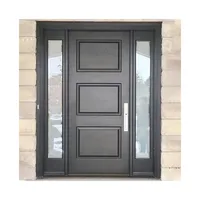 metal front door 1