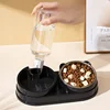 Elevated Double Cat & Dog Bowls Automatic Drinking Station with Slanted Design Durable Stainless Steel Pet Water Bowls 3
