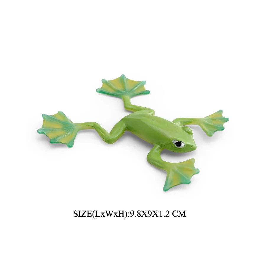 Realistische Kunststoff Regenwald Waldtiere Spielzeug Ochsenfrosch Baumfrosch Pacman Frösche Modellfiguren Garten Blumentopf Pflanzen Dekor – Detail 28