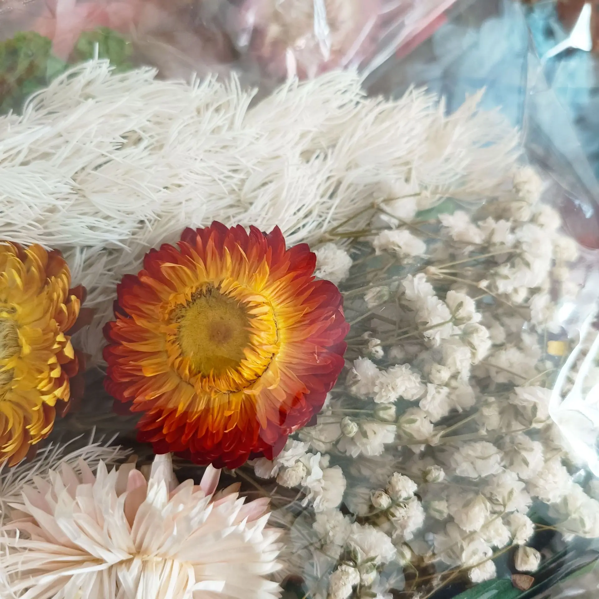 Flores Secas Mini Resina 280 Flores Secas Mini Para Resina - Multicolor, Naturales, Con Caja De Almacenamiento Flores Secas Mini Manualidades