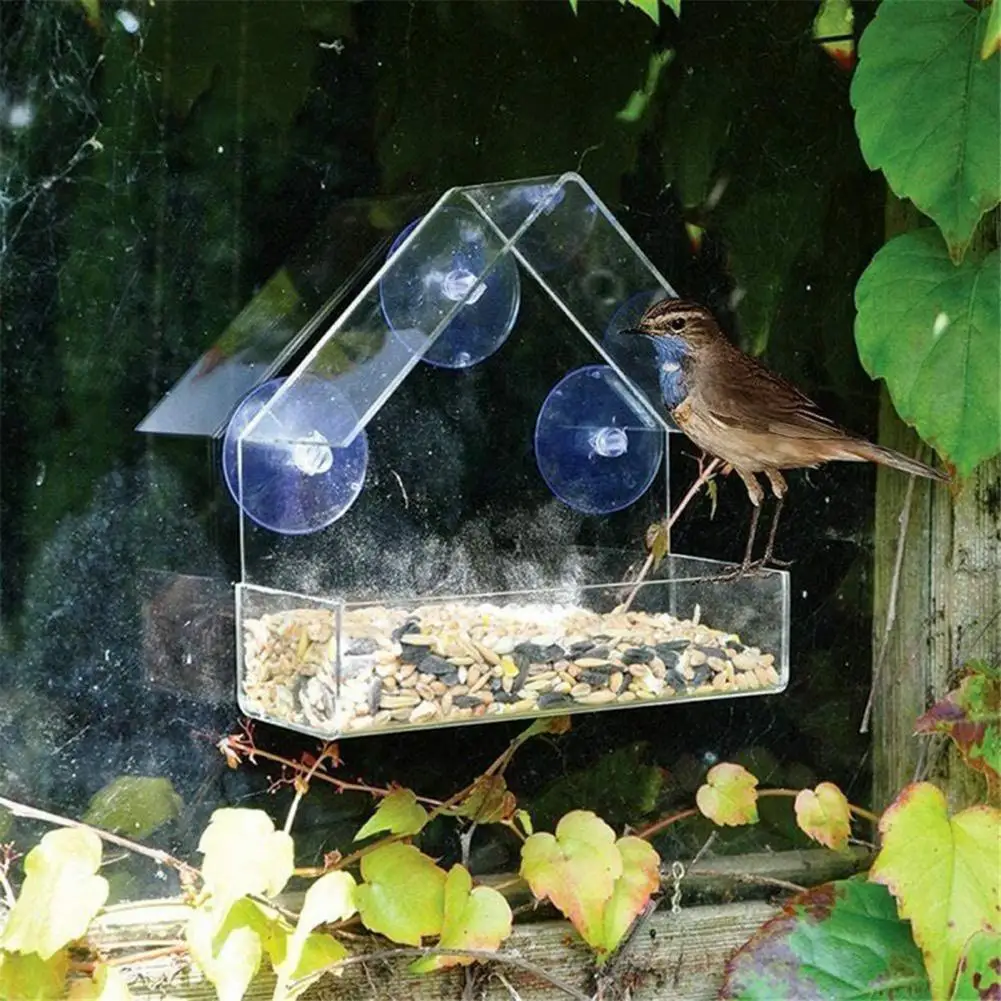 Bird Feeder Organic Glass Alec Bird Feeder Outdoor Adsorption Feeding Anti Splash Food Box Trough Bowl
