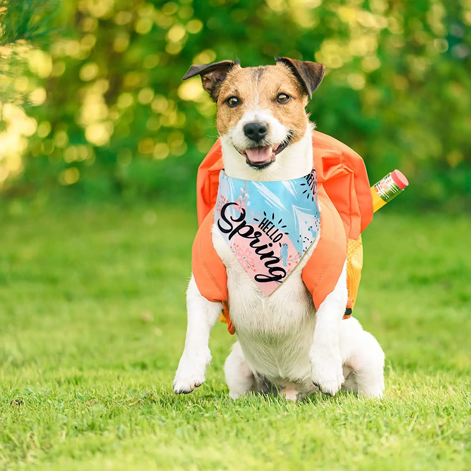 Title 4, 20 Pack Floral Dog Bandana Spring Flower Pet Tr...