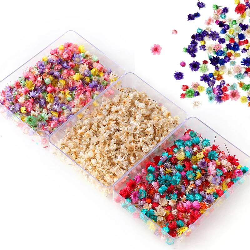 Artificial Flower 100/200PCS Dried Flowers Brazil Little Star Flower DIY Craft Epoxy Resin Candle Nail Art Epoxy Resin Filling Making Jewellery