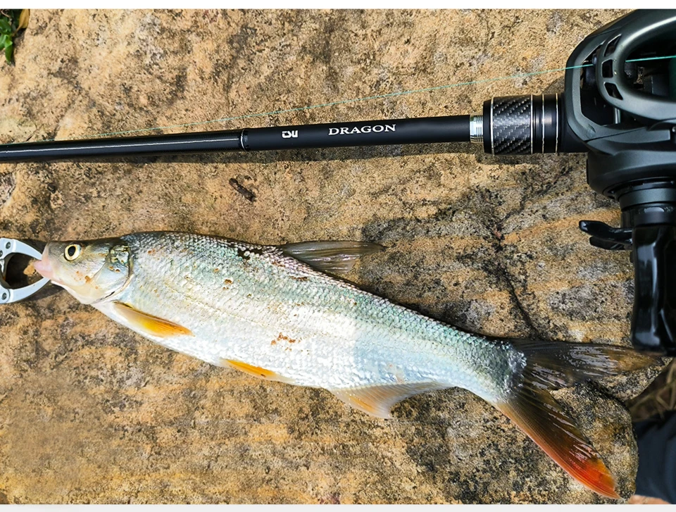 TSURINOYA Vielseitige Angelrute DRAGON 1,98m 2,08m L ML M L-M FUJI Guide Spinn- und Castingrute für Bass und Hecht – Detail 7