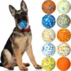Bite Resistant Solid Dog Ball Toys for Small Dogs High Elasticity E-TPU Pet Chew Ball Toy Non Squeak Interactive Puppy Toy 1