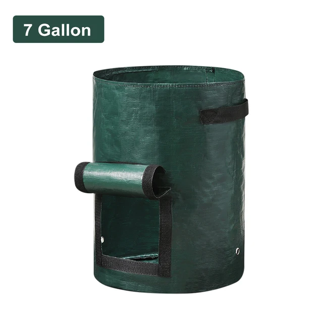7 Gallon