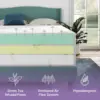 Twin Size Mattress, 12 Inch Anula Green Tea Infused Memory Foam Mattress, Twin Size Mattress Bed in a Box 3