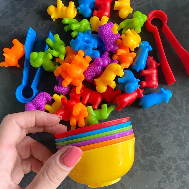 Rainbow Matching Game for Kids, Cognição de Animais, Color Sort, Fine Motor  Training, Montessori, Educação Sensorial