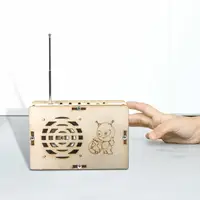 DIY Radio Model Science Kits Crafts Educational Classroom Teaching Building Set 1