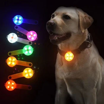 Light LED Dog Collar Pet Cat Night Safety Pendant Flashing Puppy Flashlight Rechargeable Flashing Dog Accessories luz para perro 2