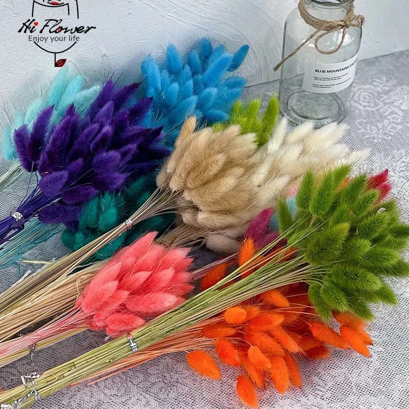 60 Steli Di Erba Coda Di Coniglio Lagurus Verde 50cm – Fiori Secchi Naturali Per Decorazioni Bohémien E Matrimoni - 3