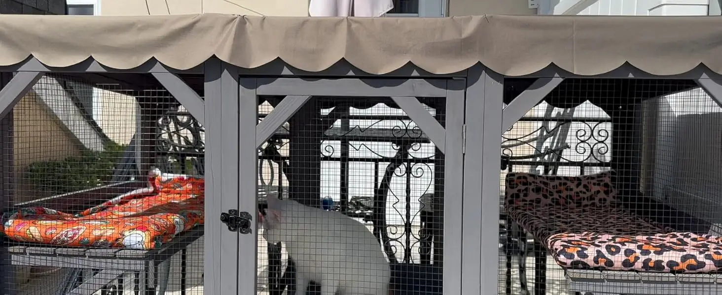 cat outdoor enclosure